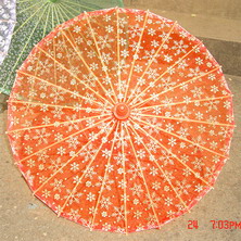 colour umbrella